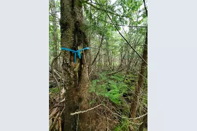 0 Mill Street, Princeton, ME 04668 - Photo 17