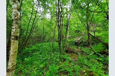 0 Mill Street, Princeton, ME 04668 - Photo 15