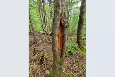 0 Mill Street, Princeton, ME 04668 - Photo 13