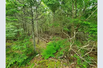 0 Mill Street, Princeton, ME 04668 - Photo 9