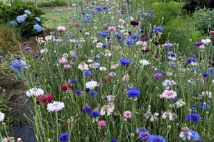 163 Ayer Ridge Rd, Freedom, ME 04941 - Photo 67