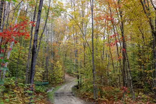 859 Maine St, Stoneham, ME 04231 - Photo 91