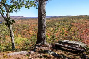 859 Maine St, Stoneham, ME 04231 - Photo 103