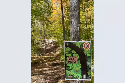 859 Maine Street, Stoneham, ME 04231 - Photo 89