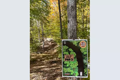 859 Maine Street, Stoneham, ME 04231 - Photo 83