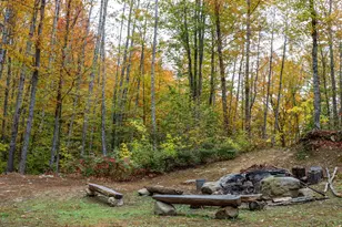 859 Maine St, Stoneham, ME 04231 - Photo 101