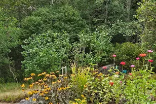 63 Raccoon, Cushing, ME 04563 - Photo 57