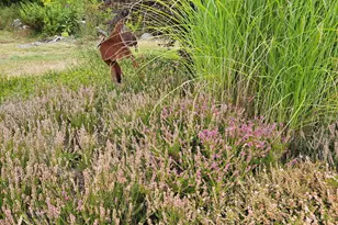 63 Raccoon, Cushing, ME 04563 - Photo 53