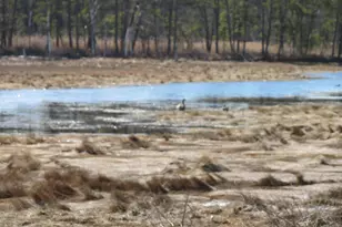 16 Larboard Ln, Kennebunk, ME 04043 - Photo 11