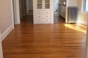 19 William St, Portland, ME 04103 - Photo 7