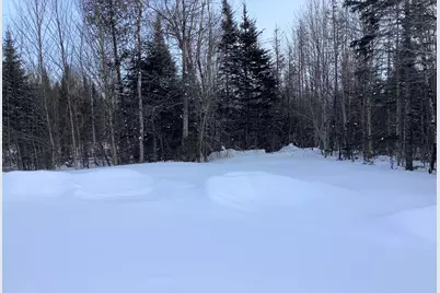 338 Kinney Road, Blaine, ME 04734 - Photo 19