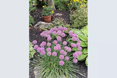 23 Clifford Road #17, Naples, ME 04055 - Photo 63