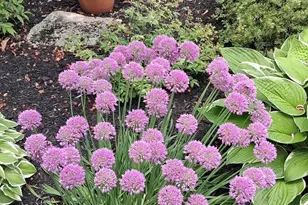 23 Clifford Rd, Naples, ME 04055 - Photo 63