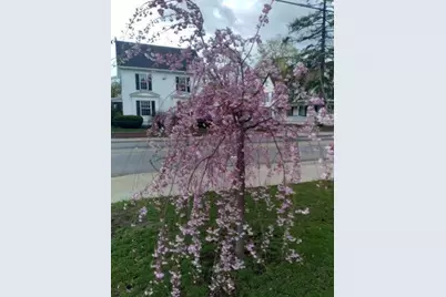 824 Main Street, Sanford, ME 04073 - Photo 19