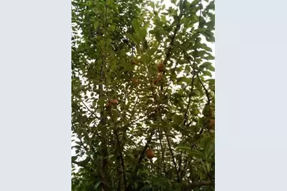 824 Main Street, Sanford, ME 04073 - Photo 21