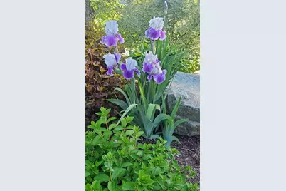 9 James Street, Belfast, ME 04915 - Photo 55