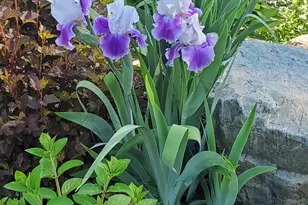 9 James St, Belfast, ME 04915 - Photo 55