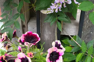 9 James St, Belfast, ME 04915 - Photo 53