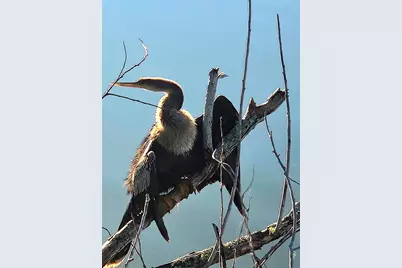 9 James Street, Belfast, ME 04915 - Photo 59