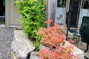 9 James St, Belfast, ME 04915 - Photo 51