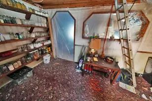 230 Maine 212, Moro Plantation, ME 04780 - Photo 19