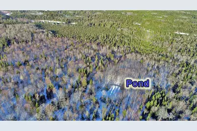 230 Maine 212, Moro Plantation, ME 04780 - Photo 13