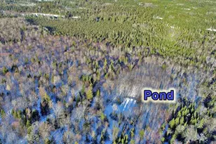 230 Maine 212, Moro Plantation, ME 04780 - Photo 13