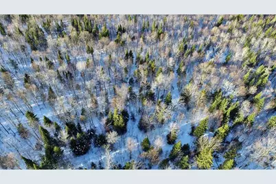 230 Maine 212, Moro Plantation, ME 04780 - Photo 53