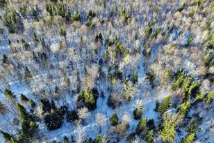 230 Maine 212, Moro Plantation, ME 04780 - Photo 53