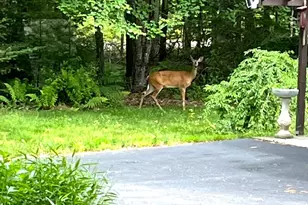 1523 North Rd, North Yarmouth, ME 04097 - Photo 1