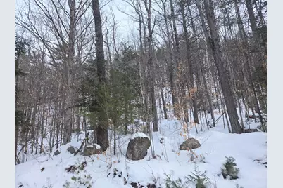 Lot II Hodge Hill Drive, Hartford, ME 04220 - Photo 11