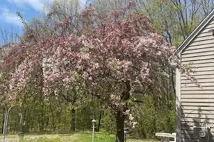 21 Windy Wy, Waterboro, ME 04087 - Photo 5