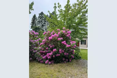 [Address not provided], Whiting, ME 04691 - Photo 69