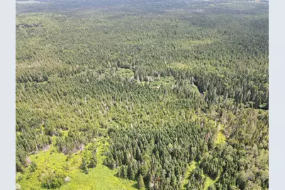 Lot 43.12 Jemptland Road, ConnorTownship, ME 04736 - Photo 11