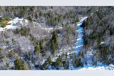 Lot 50 Cove Road, Machiasport, ME 04655 - Photo 9