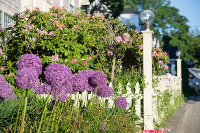 488 Main Street #7, Ogunquit, ME 03907 - Photo 39