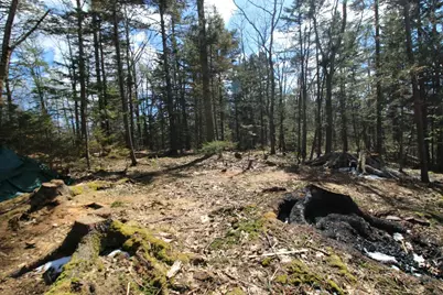 127 W West Side Drive, Verona, ME 04416 - Photo 5