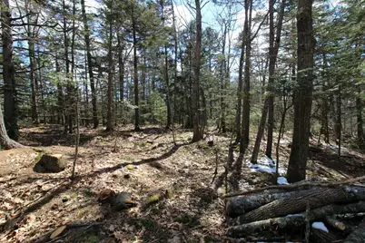 127 W West Side Drive, Verona, ME 04416 - Photo 9