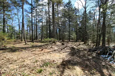 127 W West Side Drive, Verona, ME 04416 - Photo 7