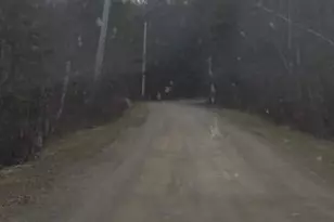 46 Albert-Reed Rd, Orrington, ME 04474 - Photo 15