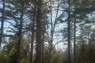 46 Albert-Reed Rd, Orrington, ME 04474 - Photo 17