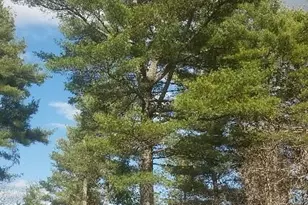 46 Albert-Reed Rd, Orrington, ME 04474 - Photo 11