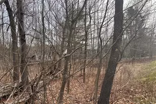 59 Gardiner Rd, Dresden, ME 04342 - Photo 5