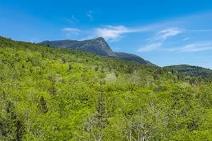 131 Bateman Ln, Byron, ME 04275 - Photo 37