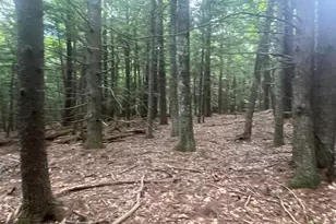 Tbd Miso Way, Buxton, ME 04093 - Photo 1