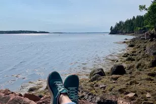 479 US-1, Robbinston, ME 04671 - Photo 7