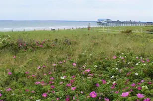 1 Cleaves St, Old Orchard Beach, ME 04064 - Photo 7