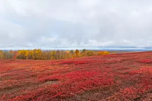 1490 Parmenter Rd, Palermo, ME 04354 - Photo 1