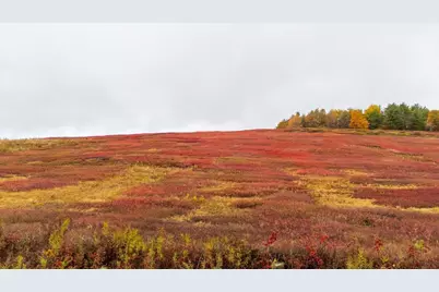 1490 Parmenter Road, Palermo, ME 04354 - Photo 3