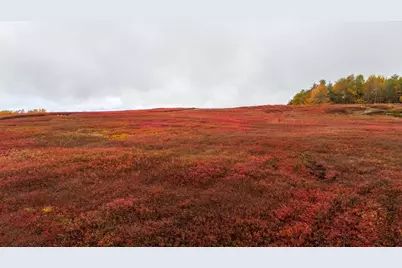 1490 Parmenter Road, Palermo, ME 04354 - Photo 5